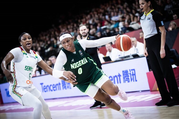 Afrobasket Féminin 2025 : La date de la compétition dévoilée ! - wiwsport