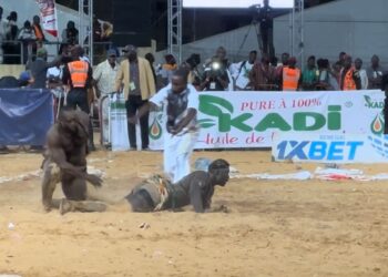Lamb : Zarco foudroie Niang bu Ndaw et l'ajoute à son tableau de chasse (vidéo) - wiwsport