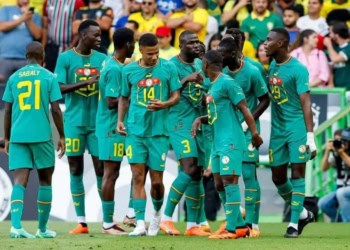 Équipe Nationale - La FSF dévoile le programme des Lions en Mars ! - wiwsport