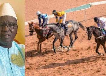 Courses hippiques - Une 10e journée pour commémorer les disparus ce week-end ! - wiwsport Courses hippiques – Une 10e journée pour commémorer les disparus ce week-end !