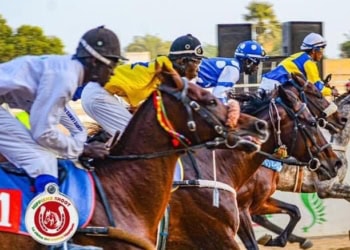 Courses hippiques - Les résultats de la 14e journée ! - wiwsport