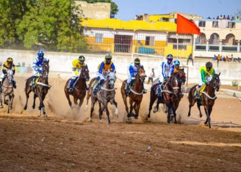 Courses hippiques - 14e journée : les chevaux, en piste ce weekend à l'hippodrome - wiwsport