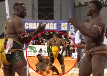 Lamb : (vidéo) Incroyable, Alioune Sèye 2 met KO Quench - wiwsport