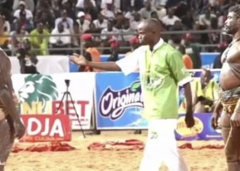 Lamb : Au bout d’un combat de gladiateurs, Pokola Baldé bat Liss Ndiago sur décision arbitrale - wiwsport