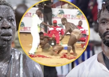 Séduit par Liss Ndiago et Pokola, Aziz Ndiaye prêt à ficeler la revanche dès ce mois de juillet ! - wiwsport