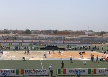 24e édition DCE - Petite catégorie individuelle : Les finalistes dévoilées, Ziguinchor se distingue chez les filles, Thiès et Fatick chez les garçons - wiwsport