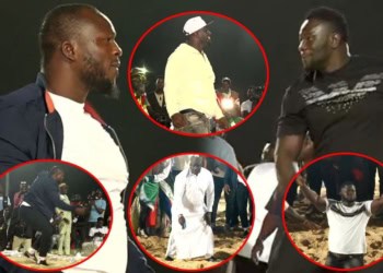 Drapeau du Chef de l’État : Certains VIP de l’arène attendus ce soir à Mbour - wiwsport