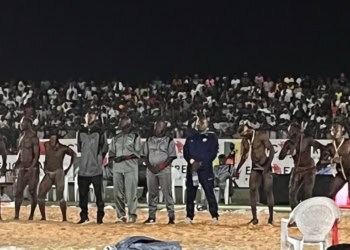 24e édition DCE - Individuelle Seniors : Cheikh Sadibou Sarr, Siny Sembène, El Hadji Ndiaye et Cheikh Diagne gagnent l’Or, Général Malika se contente du bronze - wiwsport