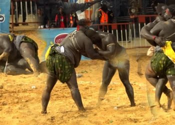 Lamb : Trop puissant pour Doomu Dangou, Gris 2 s’impose ! - wiwsport