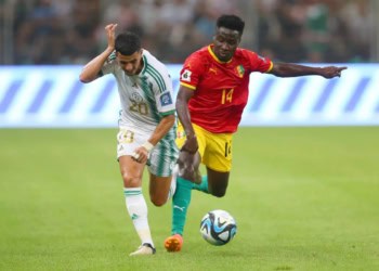 Qualifications Mondial 2026 : L'Algérie s'incline à domicile face à la Guinée pour le premier match de Petkovic - wiwsport