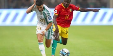 Qualifications Mondial 2026 : L'Algérie s'incline à domicile face à la Guinée pour le premier match de Petkovic - wiwsport
