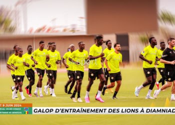 LIVE - : Suivez en direct le 7e galop d’entraînement des Lions - wiwsport