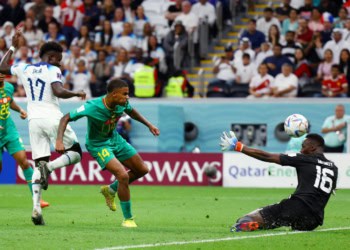 Demande de transparence sur l'utilisation des fonds publics : Un député interpelle le ministère des Sports sur la CAN 2023 et la CDM 2022 - wiwsport