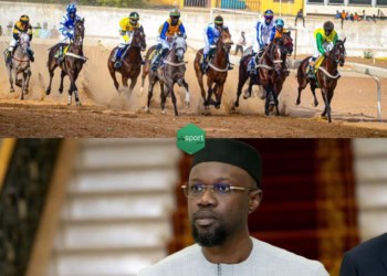 Courses hippiques - 22e journée ce dimanche, le grand prix est dédié au Premier Ministre Ousmane Sonko - wiwsport