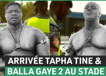 (Vidéo) L'analyse pertinente du journaliste Dembele sur les heures de combat à l'arrivée de Tapha Tine ! - wiwsport