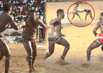 Lamb : (vidéo) Seck Ndaanane bat Laurent Ndiago en quelques secondes - wiwsport