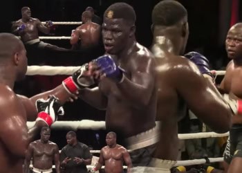 Kickboxing : (vidéo) Revivez le combat âprement disputé entre Alboury et Lamine Sène - wiwsport