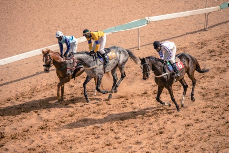 Courses Hippiques - Tous les résultats de la 23e journée ! - wiwsport Courses Hippiques - Tous les résultats de la 23e journée ! - wiwsport
