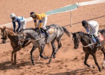 Courses Hippiques - 7 courses au menu de la journée du cheval dotée du grand prix du chef de l’Etat ! - wiwsport