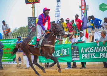Courses Hippiques - ADJUDANT plus rapide que l’éclair lors du Grand Prix du Chef de l’Etat ! - wiwsport