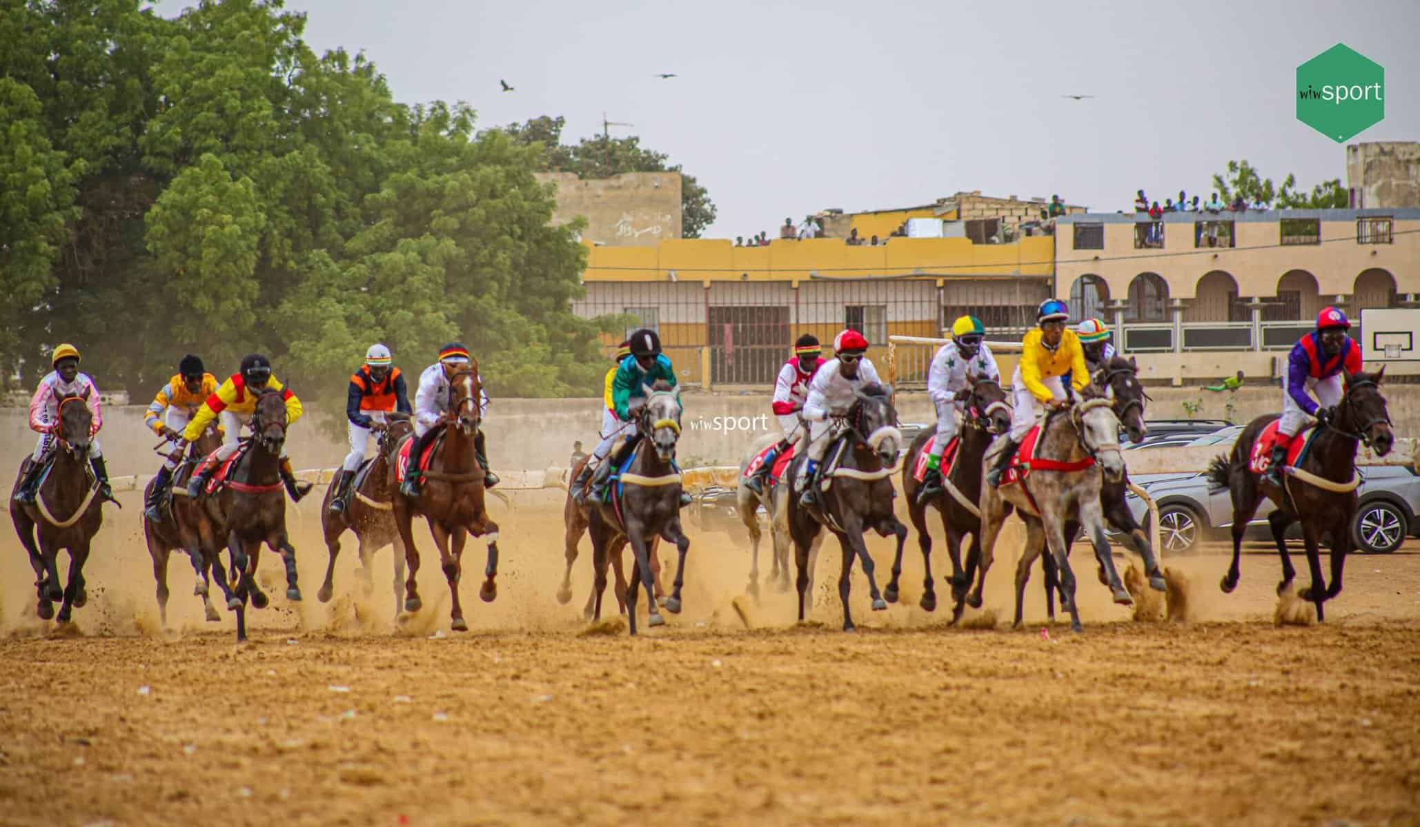 Courses Hippiques - Tous les résultats de la 24e journée ! - wiwsport