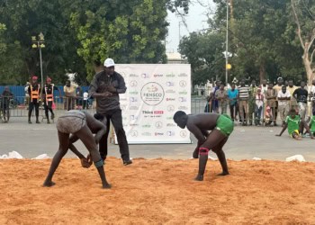 Festival National du Sport Scolaire : Thiès et Fatick dominent la compétition de lutte avec de nombreuses médailles - wiwsport