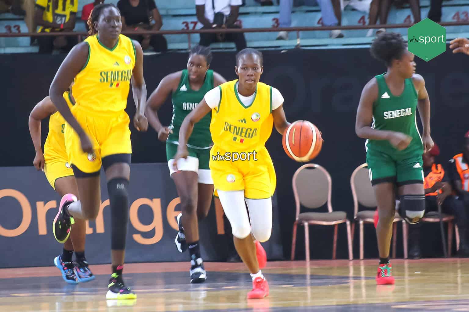Match Amical : les Lionnes se baladent face à la sélection locale (73-37) - wiwsport Match Amical : les Lionnes se baladent face à la sélection locale (73-37) - wiwsport