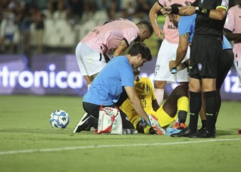 Palerme - Blessé lors de la première journée de la saison, Alfred Gomis sera opéré ! - wiwsport