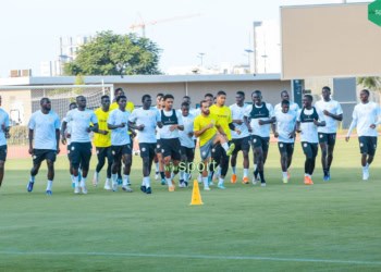 Equipe Nationale : Reprise en douceur pour des Lions (presque) au complet - wiwsport