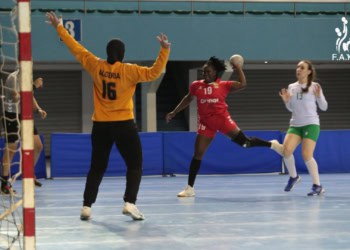 Handball - Amical : Et de 2 pour les Lionnes qui s'imposent à nouveau face aux Fennecs d'Algérie (30-24) - wiwsport