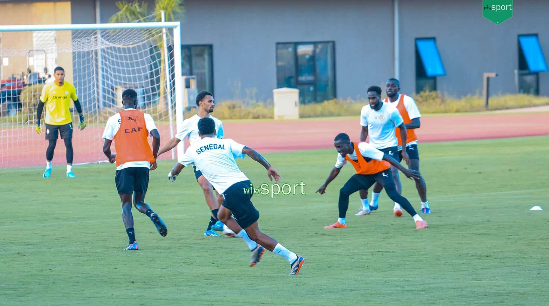 Planning des Lions - Le travail se fera à huis clos ce soir ! - wiwsport Planning des Lions - Le travail se fera à huis clos ce soir ! - wiwsport