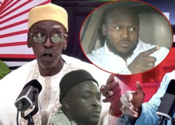 Ibou Ndiaye Niokhobaye : « Il n’y a pas meilleur lutteur que Modou Lô, Siteu ne peut pas le toucher dans la bagarre car il est très fort pour esquiver les coups » - wiwsport