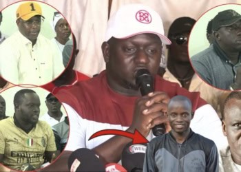Baye Ndiaye se démarque des promoteurs et soutient Malick Ngom pour la présidence du CNG : « Je ne suis membre d’aucune association et je soutiens Malick Ngom … » - wiwsport