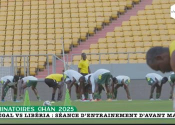 Sénégal vs Liberia : Suivez la dernière séance d’entraînement des Lions Locaux - wiwsport