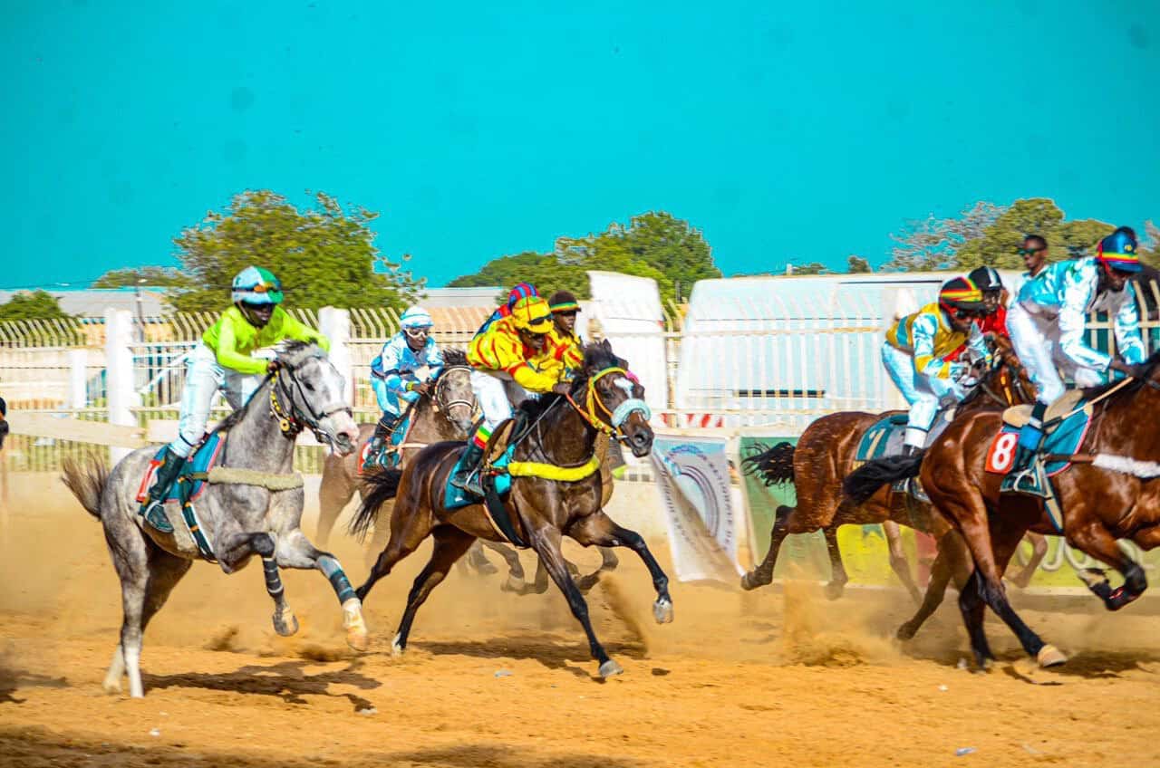 Courses Hippiques - Les résultats de la 2e journée ! - wiwsport Courses Hippiques - Les résultats de la 2e journée ! - wiwsport
