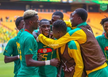 Équipe nationale : Les Lions Locaux se qualifient pour le CHAN 2025 - wiwsport