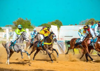 Courses hippiques : Rendez-vous à Mbacké pour une 6e journée pleine de promesses ! - wiwsport