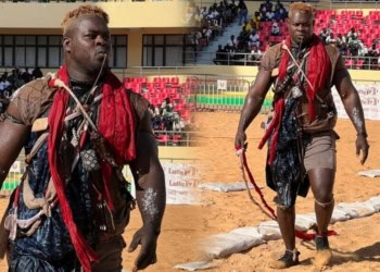 Lamb : Victoire de Général Malika sur Forza - wiwsport