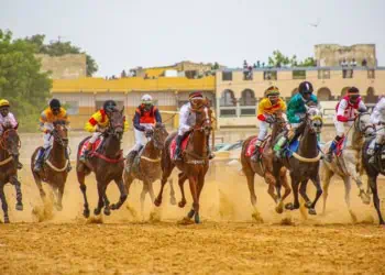 Courses Hippiques - Avec 3 courses remportées, l’écurie Lambafar d’Omar Bao a marqué la 3e journée ! - wiwsport