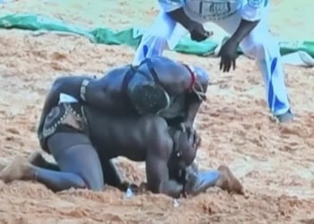 Lamb : Papa Bari Bari bat Tapha Gueye 2 et stoppe la belle série du vétéran (vidéo) - wiwsport