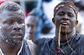 Lamb : Le CNG déclare Thiatou Daouda Fall vainqueur devant Amanekh - wiwsport