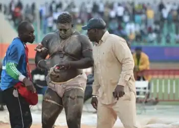 Gris 2 monte au créneau : « Nous devons mettre de côté le titre de Tigre Fass et viser celui de Roi des Arènes, il est grand temps …» - wiwsport