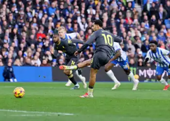 Premier League : Everton s'impose à Brighton grâce à un but d'Iliman Ndiaye - wiwsport