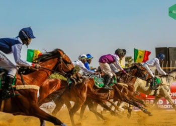 Courses Hippiques - La 7e journée bat le record de participation de chevaux, voici les résultats ! - wiwsport