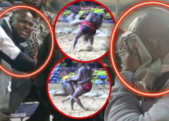 Lamb : (vidéo) Regardez la réaction de Modou Lô pendant le combat de Petit Lô - wiwsport