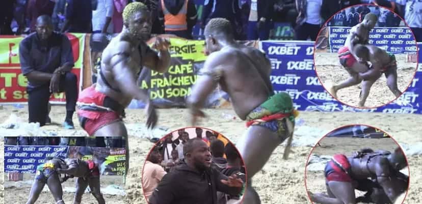 Lamb : Victoire éclatante de Petit Lô sur Brise de Mer 2 - wiwsport Screenshot