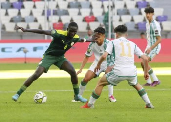 CAN U20 : Abdou Aziz Fall, un retour précieux pour Serigne Saliou Dia - wiwsport