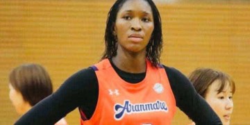Aranmare Akita : Ndeye Coumba Niang, reine des rebonds en WJBL (Japon) - wiwsport