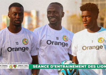 Equipe Nationale : Suivez en direct sur wiwsport.com la deuxième séance d'entraînement des Lions - wiwsport