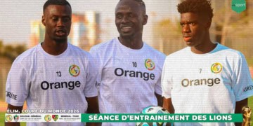 Equipe Nationale : Suivez en direct sur wiwsport.com la deuxième séance d'entraînement des Lions - wiwsport